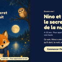 Nino et le secret de la nuit — la couverture sur le téléphone