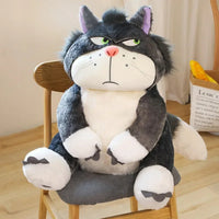 Grognon, le chat grincheux : la peluche de Grognon et les 5 histoires