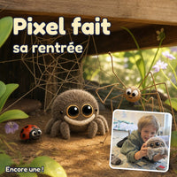 Pixel, la petite araignée · la couverture et son héros